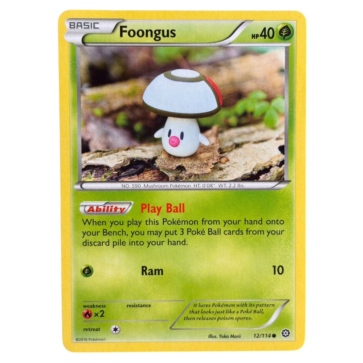 Foongus