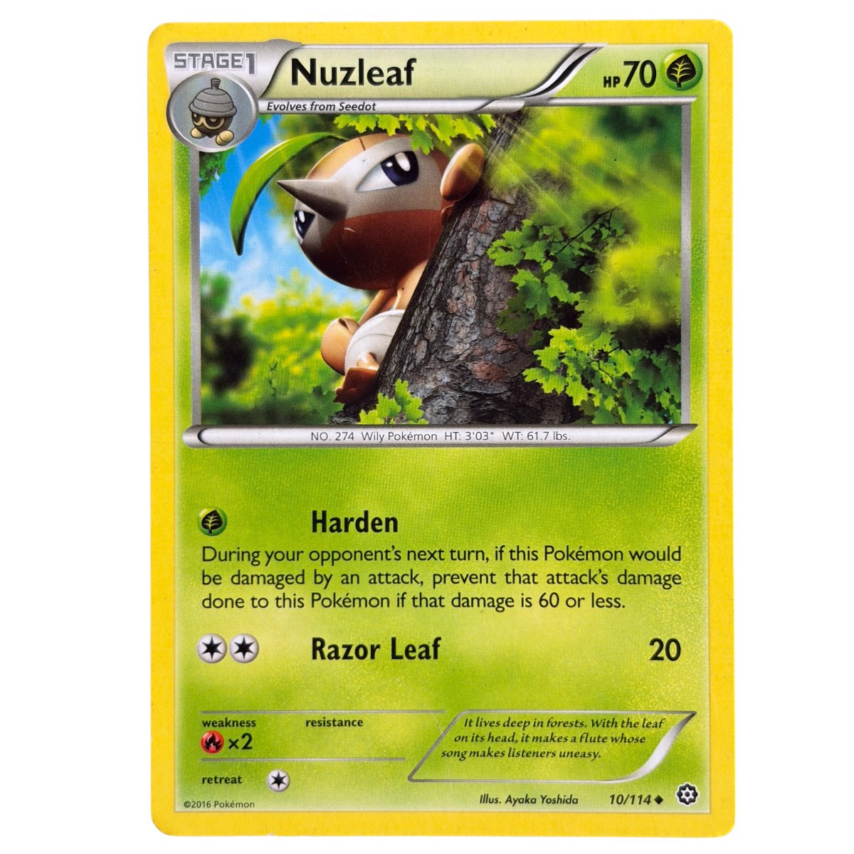 Nuzleaf
