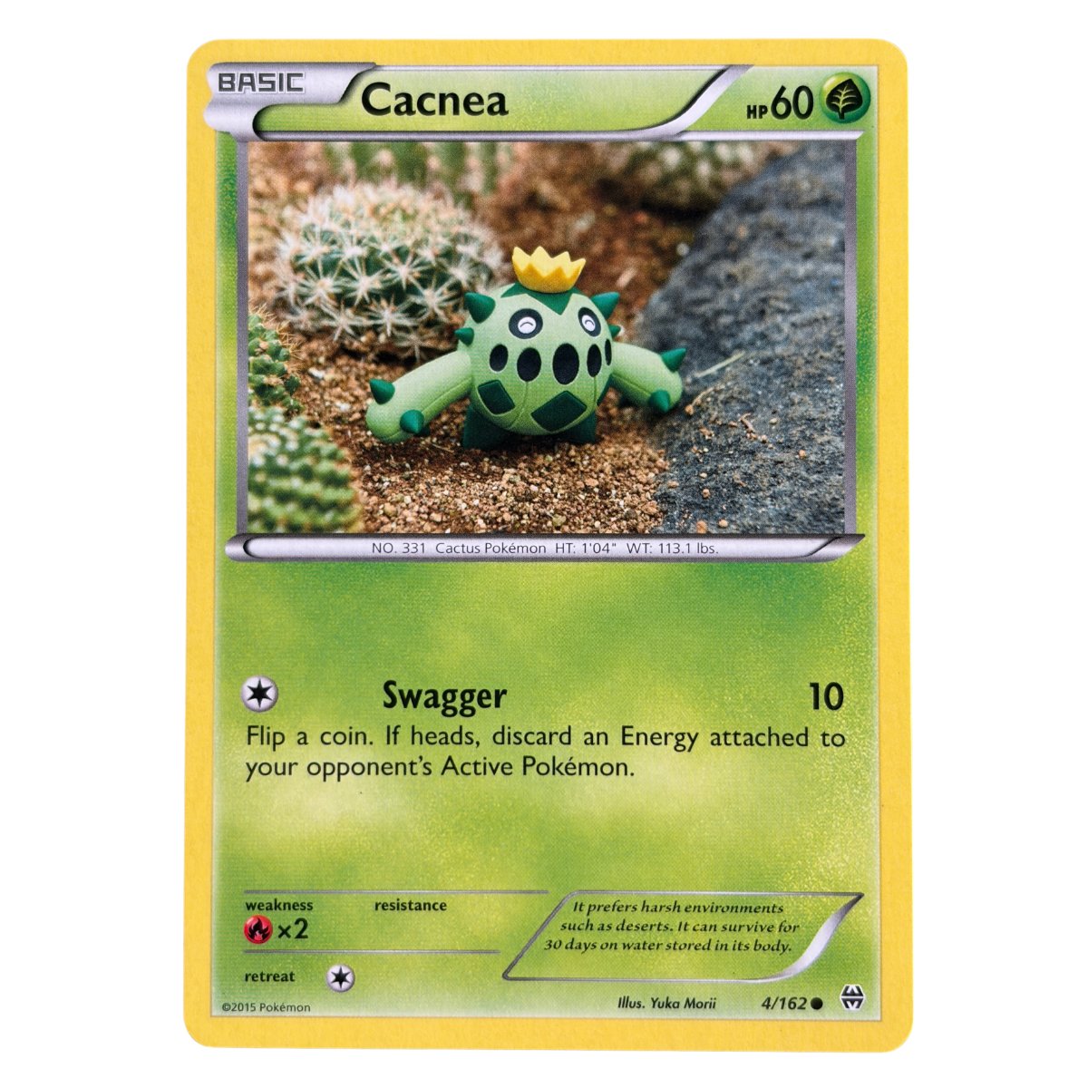 Cacnea