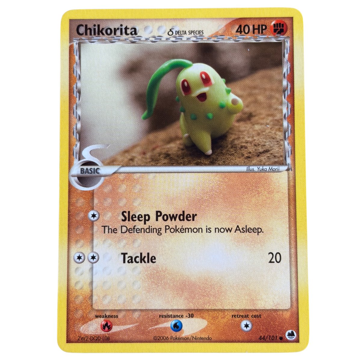 Cikorita