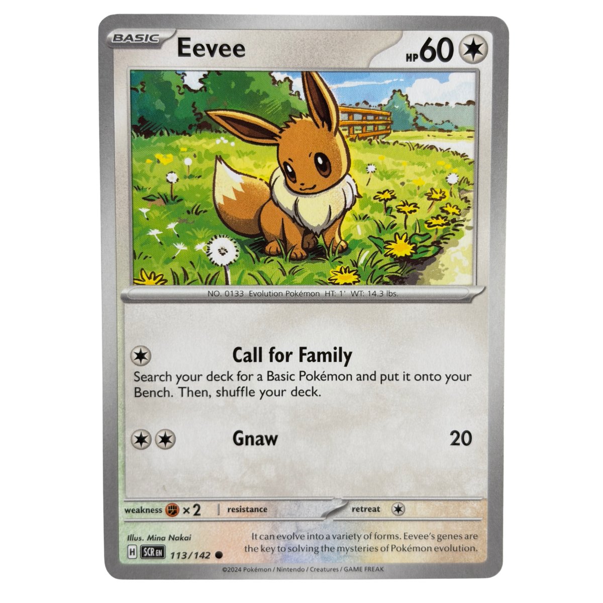 Eevee 113/142 (Call for Family)