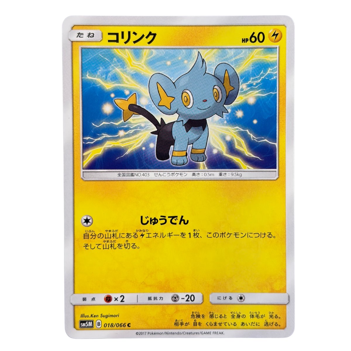 Shinx 018/066