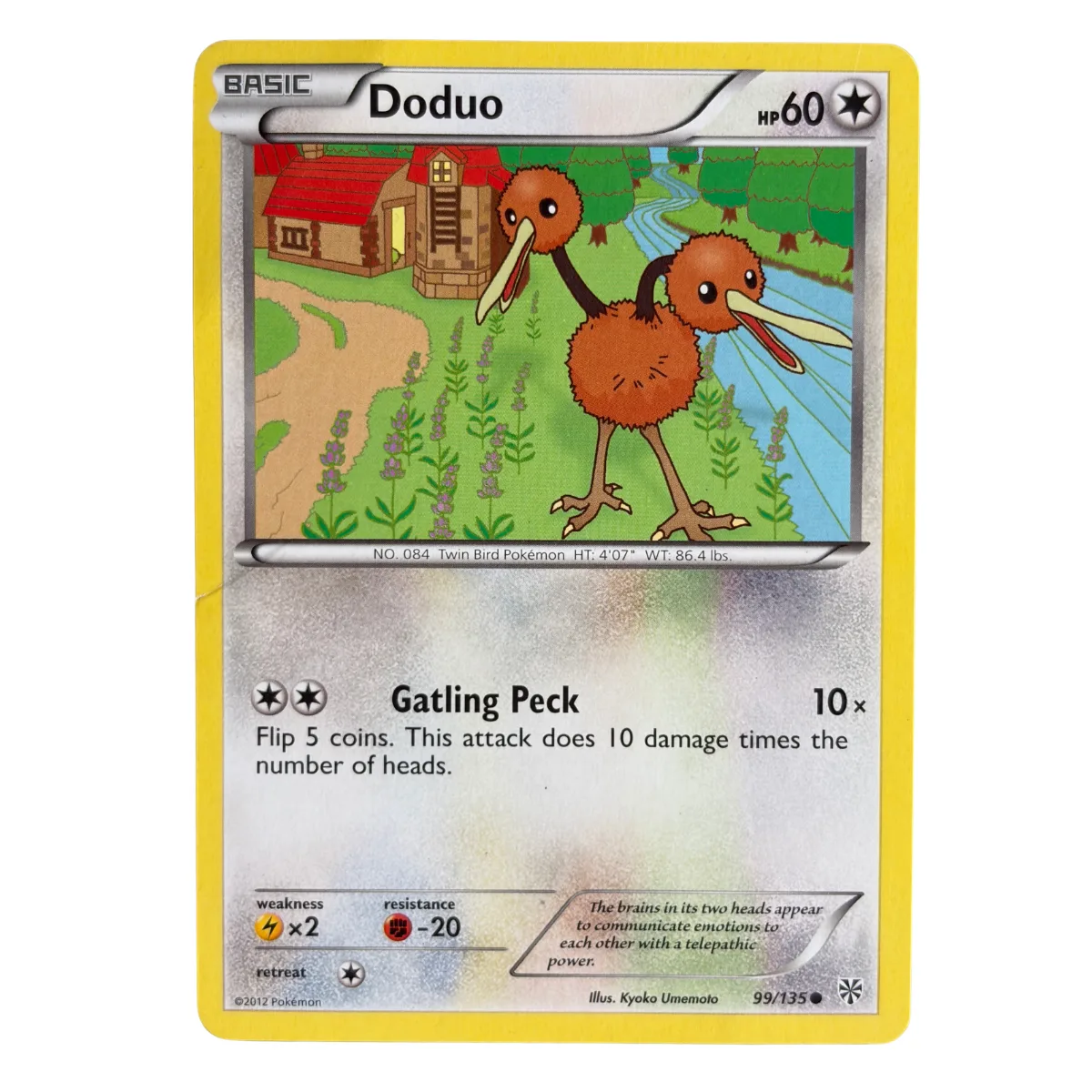 Doduo 99/135